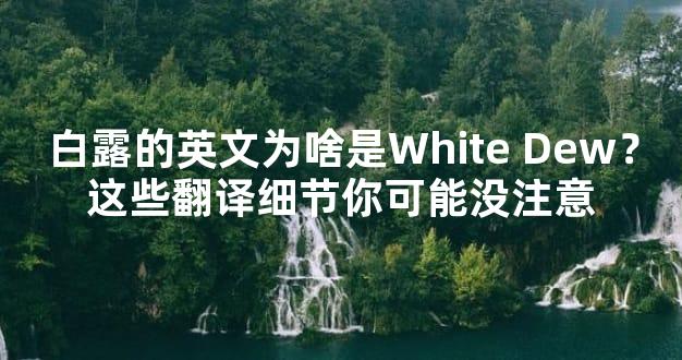 白露的英文为啥是White Dew？这些翻译细节你可能没注意